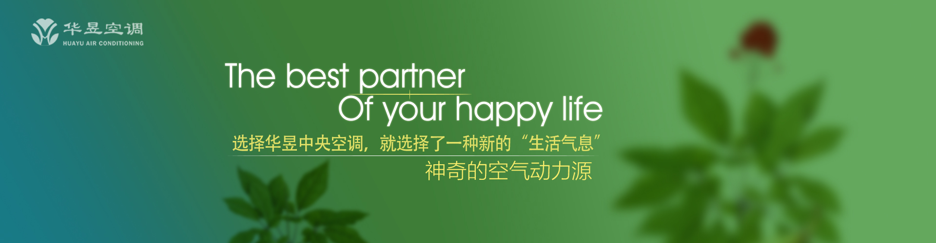 牛刀割鸡网